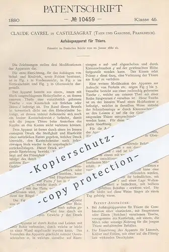 original Patent - Claude Cayrel , Castelsagrat , Tarn & Garonne Frankreich  1880 , Aufsäugeapparat für Tiere | Tierzucht