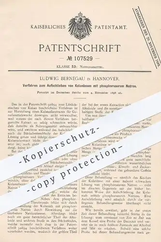 original Patent - Ludwig Bernegau , Hannover  1898 , Aufschließen der Kolanüsse per phosphorsaurem Natron | Kakao , Nuss