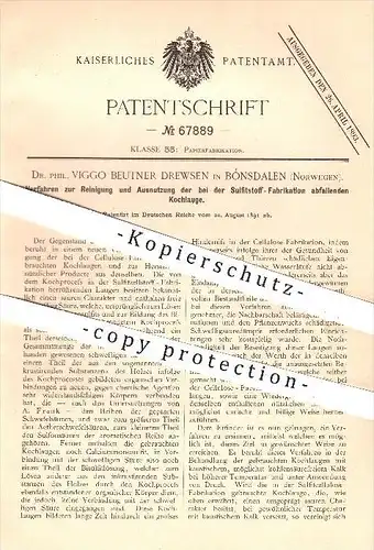 original Patent - Dr. Phil. Viggo Drewsen , Bónsdalen , 1891 , Reinigung der Lauge von der Sulfitstoff - Fabrikation !!!