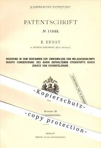 original Patent - E. Ernst , Beesenlaublingen , 1880 , Umwandlung von Melasseschlempe für Konservierung von Stickstoff !