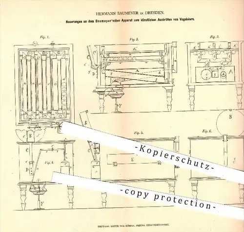 original Patent - Hermann Baumeyer , Dresden , 1878, künstliches Ausbrüten von Vogeleiern , Vogel , Vögel , Tier , Tiere