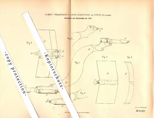 Original Patent - Albert Fükenwirth in Gross Schottgau b. Canth , Schlesien , 1879 , Katy Wroclawskie , Kanth !!!