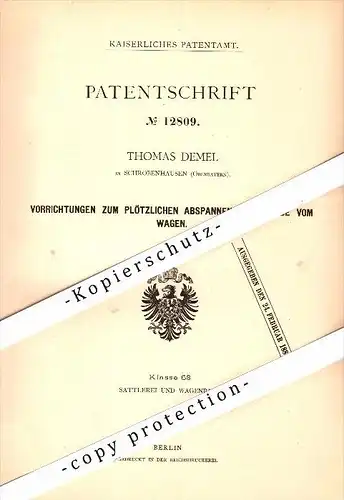 Original Patent - Thomas Demel in Schrobenhausen , Oberbayern ,1880, Vorrichtung für Pferde , Landwirtschaft , Tierzucht