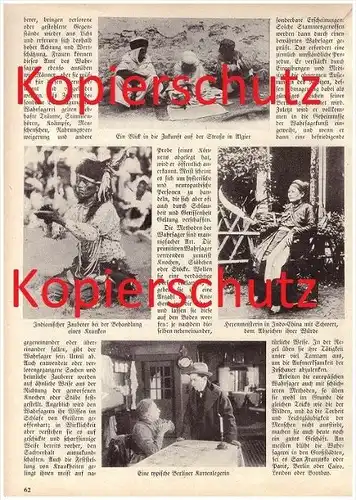 original Zeitungsbericht - 1929 -  Wahrsager , Zauberer , Propheten , Zigeuner , Kartenleger , Hexe , Wahrsagerei !!!