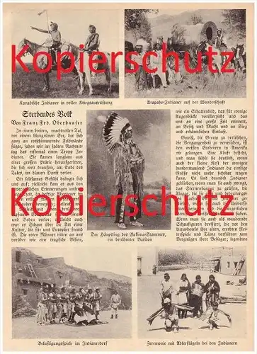 original Zeitungsbericht - 1929 - Indianer , Sterbendes Volk , Indianerdorf , Häuptling , Cherekees , Peigan  !!!