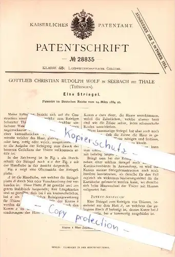 Original Patent - G. C. R. Wolf in Seebach bei Thale , Thüringen , 1884 , Eine Striegel !!!