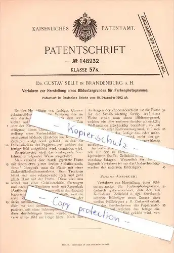 Original Patent -  Dr. Gustav Selle in Brandenburg a. H. , 1902 , farbige Chromgelatinebilder !!!