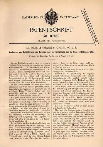 Original Patentschrift - Dr. R. Lehmann in Camburg a. Saale , 1898 , Entgiftung von Lupinen , Agrar , Dornburg !!!