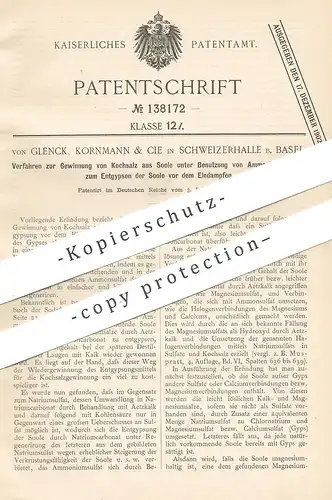 original Patent - von Glenck , Kornmann & Cie , Schweizerhalle / Basel / Schweiz 1901 | Gewinnung v. Kochsalz aus Soole