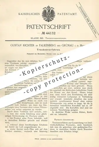 original Patent - Gustav Richter , Falkenberg / Grünau , 1887 , Trockenverfahren | Trocknen v. Kartoffeln | Konservieren