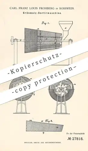 original Patent - Carl Franz Louis Frohberg , Rosswein , 1884 , Malz - Sortiermaschine | Getreide | Bier , Brauerei !!!