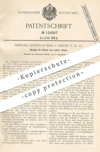 original Patent - Edward George Kubler , Akron , USA , 1900 | Striegel für Pferde | Pferd , Tier , Striegeln | Reitsport