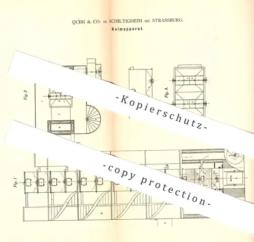 original Patent - Quiri & Co. , Schiltigheim / Strassburg , 1880 , Keimapparat | Malz , Maische , Bier , Brauerei , Keim