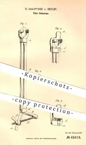original Patent - H. Hauptner , Berlin , 1888 , Zahnzange für Tiere | Pferd , Pferde , Tierarzt , Zahn , Zähne , Medizin