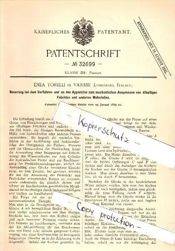 Original Patent - Enea Torelli in Varese , Lombardei , 1885 , Apparecchio per la frutta pressatura !!!