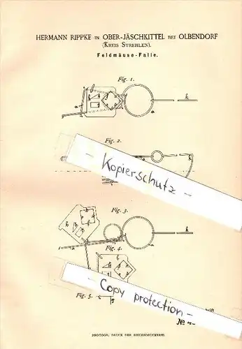 Original Patent - Hermann Rippke in Ober-Jäschkittel b. Olbendorf , Kreis Strehlen , 1889 , Feldmaus - Falle , Mäuse !!!