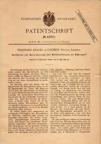 Original Patent - F. Knauer in Gröbers b. Kabelsketal , 1887 , Nährstoffanreicherung für Pflanzen , Düngung , Agrar !!!