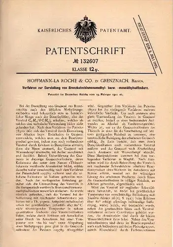 Original Patentschrift - Hoffmann La Roche & Co in Grenzach , 1901 ,  Brenzkatechinmonomethyl , Chemie , Whylen , Labor