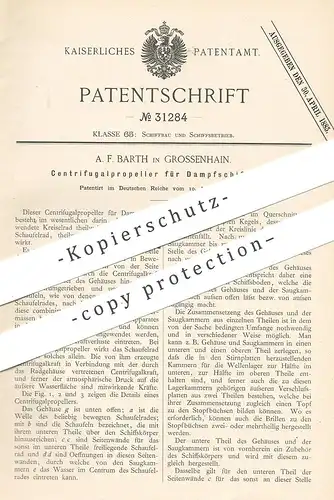 original Patent - A. F. Barth , Grossenhain , 1884 , Zentrifugalpropeller für Dampfschiff | Schiff , Propeller | Boot