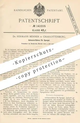 original Patent - Dr. Hermann Mehner , Berlin / Charlottenburg , 1902 , Anbau von Spargel | Spargelbauer | Gärtner !!