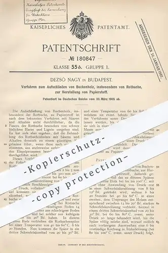 original Patent - Dezsö Nagy , Budapest 1905 , Aufschließen von Buchenholz , Rotbuche zur Papier - Herst. | Holz , Pappe