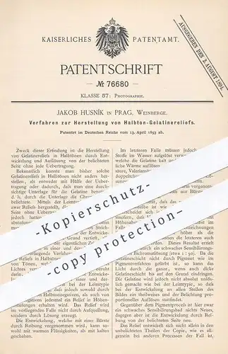 original Patent - Jakob Husník , Prag , Weinberge 1893 , Halbton Gelatinerelief | Relief , Foto , Fotografie , Fotograf