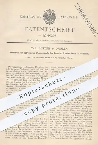 original Patent - Carl Metzner , Dresden , 1887 , getrocknete Palmenwedel auffrischen | Clycerin , Pflanzen , Palme !!!