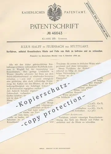 original Patent - Julius Hauff , Feuerbach / Stuttgart 1888 , Haut & Fell von Kalk befreien per Kresotinsäure | Gerber