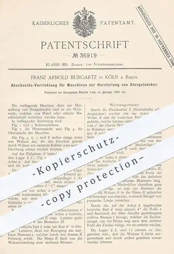 original Patent - Franz Arnold Bungartz , Köln / Rhein 1886 , Abschneide-Vorrichtung f. Herst. von Zucker | Zuckerfabrik