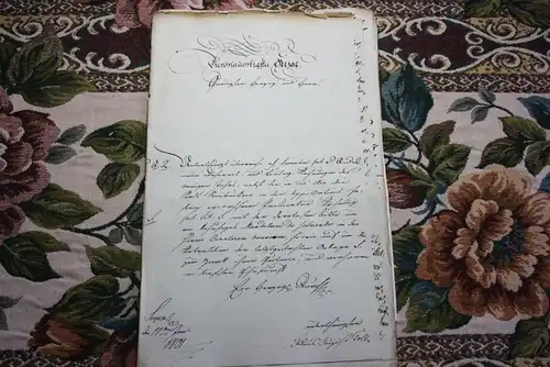 sehr altes Dokument , 1804 , Tolle aus Schwerin , Neubukow , Lange aus Westenbrügge , Mecklenburg !!!