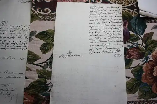 sehr altes Dokument , 1804 , Tolle aus Schwerin , Neubukow , Lange aus Westenbrügge , Mecklenburg !!!