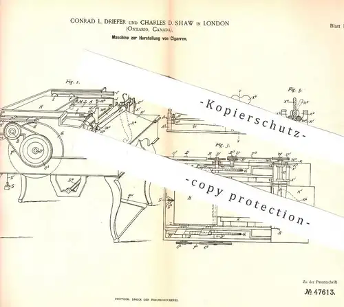 original Patent - Conrad L. Driefer , Charles D. Shaw , London , Ontario , Kanada , 1888 , Herst. von Zigarre , Zigarren