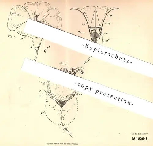original Patent - Hugo Mestern , Berlin , 1906 , Fliegenfänger | Insektenfänger , Fliege , Fliegen , Insekten !!!