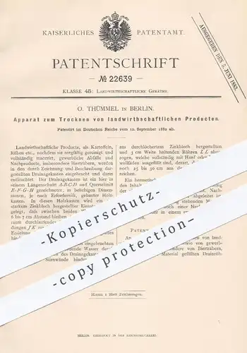 original Patent - O. Thümmel , Berlin , 1882 , Trocknen von Kartoffeln , Rüben , Getreide | Landwirtschaft , Drainage !!