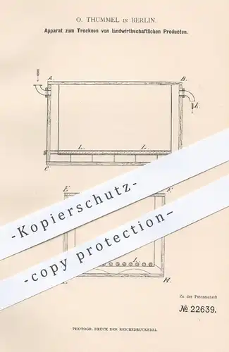 original Patent - O. Thümmel , Berlin , 1882 , Trocknen von Kartoffeln , Rüben , Getreide | Landwirtschaft , Drainage !!