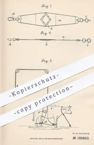 original Patent - Hugo Silberbach , Köln , 1906 , Niederlegen von Schlachtvieh | Schlachter , Tierarzt , Tierzucht !!!