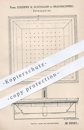 original Patent - Coldewe & Schönjahn , Braunschweig , 1885 , Keimapparat | Keimen , Saatgut , Saat , Samen , Gärtner !