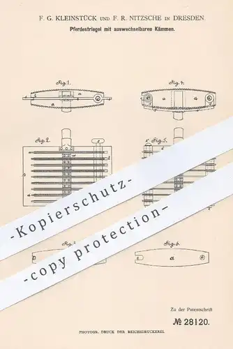 original Patent - F. G. Kleinstück u. F. R. Nitzsche , Dresden , 1884 , Pferdestriegel mit wechselbarem Kamm | Pferde !