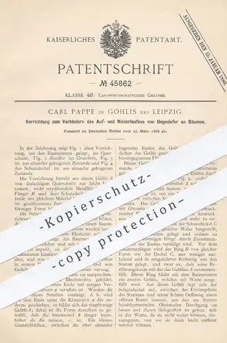 original Patent - Carl Pappe , Leipzig / Gohlis , 1888 , Verhüten von Ungeziefer am Baum | Bäume - Schädlinge | Leimring