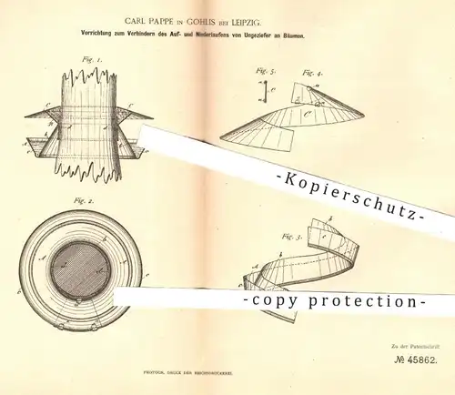 original Patent - Carl Pappe , Leipzig / Gohlis , 1888 , Verhüten von Ungeziefer am Baum | Bäume - Schädlinge | Leimring