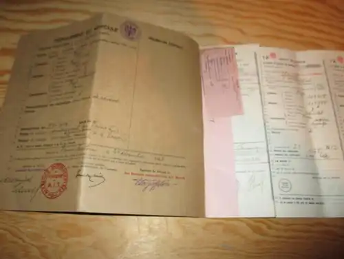 DDAC München , 1936 , Steyr Fahrausweis , F. Schenck in Hinterweidenthal b. Hauenstein , Ausweis , Automobile , Egypt !!