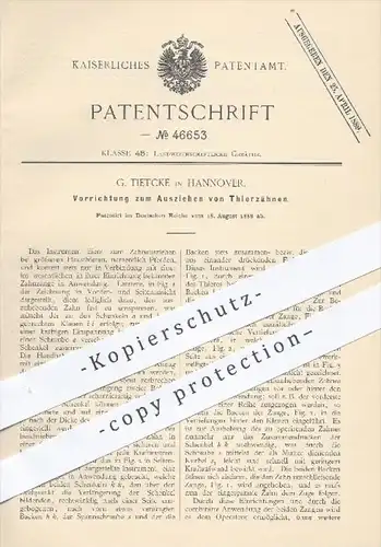 original Patent - G. Tietcke in Hannover , 1888 , Ausziehen von Tierzähnen , Tiere , Zähne , Tierarzt , Veterinär !!!
