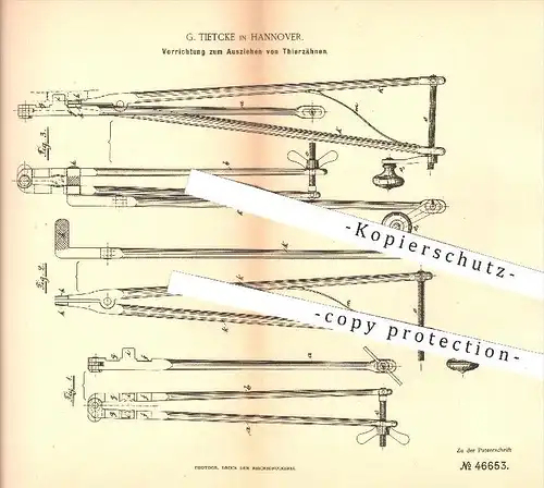 original Patent - G. Tietcke in Hannover , 1888 , Ausziehen von Tierzähnen , Tiere , Zähne , Tierarzt , Veterinär !!!