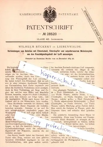 Original Patent  - Wilhelm Rückert in Liebenwalde , 1883 , Instrumente !!!