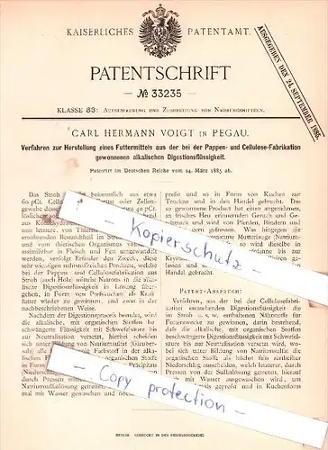 Original Patent  - Carl Hermann Voigt in Pegau , 1885 , Aufbewahrung von Nahrungsmitteln !!!