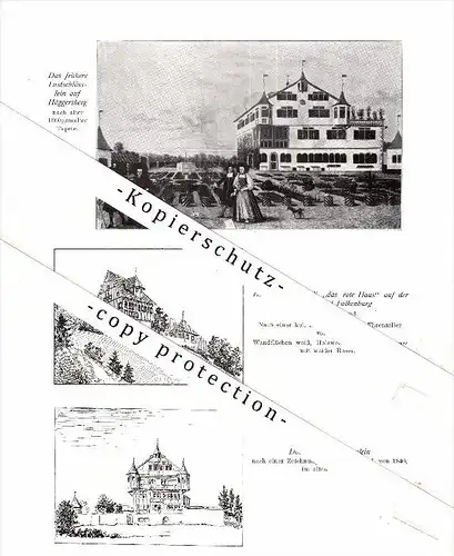 Photographien / Ansichten , 1913 , St. Gallen , Zum Goldapfel , Falkenburg , Höggersberg , Prospekt , Architektur !!!