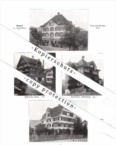 Photographien / Ansichten , 1913 , Toggenburg , Wattwil , Lichtensteig , Prospekt , Architektur , Fotos !!!
