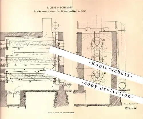 original Patent - F. Dippe in Schladen , 1892 , Trockenvorrichtung für Rübenschnitzel , Rüben , Trocknen , Trocknung !!