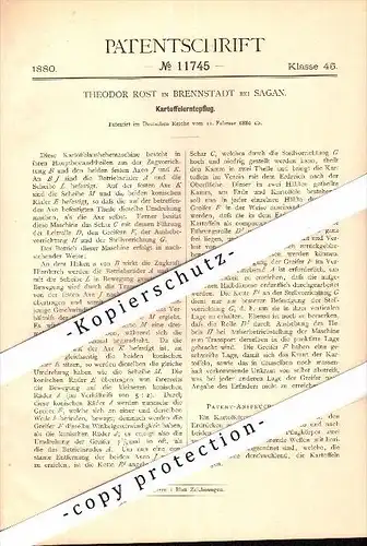 Original Patent-T. Rost in Brennstadt b. Sagan ,1880, Kartoffel- Erntepflug , Agrar , Landwirtschaft , Zagan , Schlesien