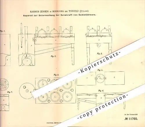 Original Patent - R. Jensen in Roswang bei Thisted , 1880 , Apparat für Keimkraft von Samen , Saatzucht , Saat , Denmark